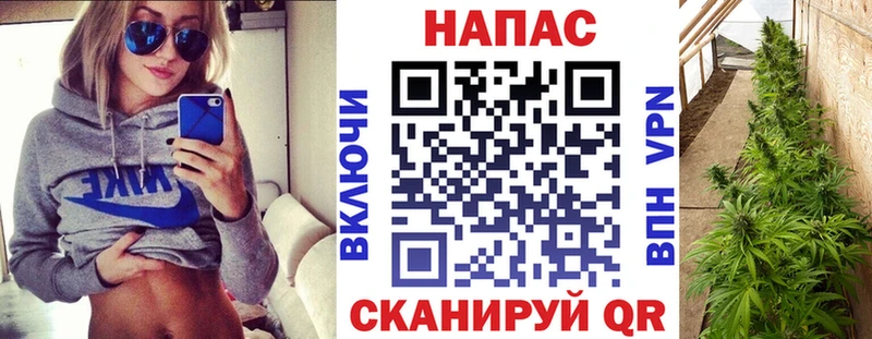 Где купить наркоту Россошь Cocaine  Псилоцибиновые грибы  ГАШИШ  Каннабис  Меф 