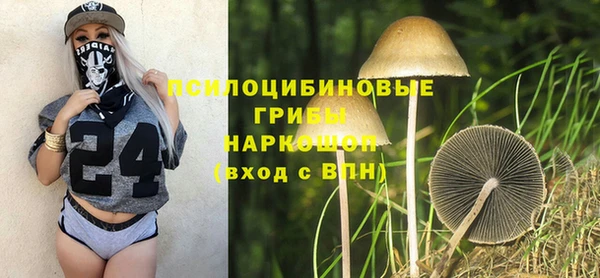 сатива Алзамай