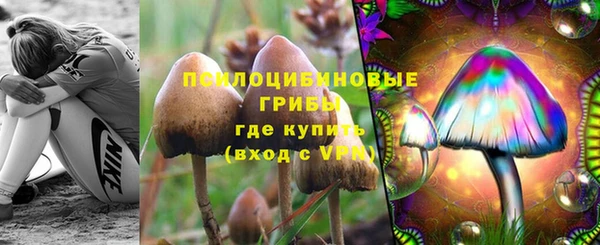 a pvp Абаза